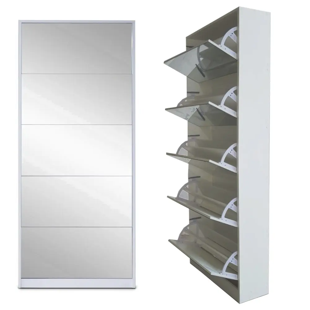 5 Door Mirror Shoe Cabinet