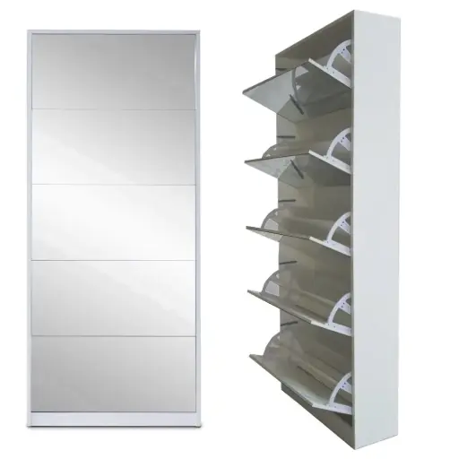5 Door Mirror Shoe Cabinet